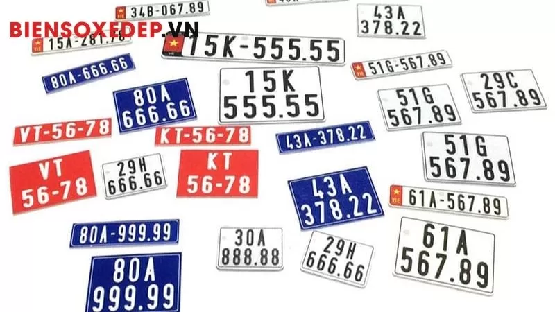 Dịch Vụ Đăng Ký Bấm Biển Tại HCM: Nhanh Gọn Nhất 2026