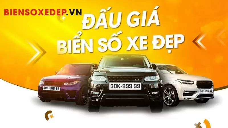 Đơn Vị Cung Cấp Dịch Vụ Cấp Đổi Biển Đấu Giá Tốt Nhất