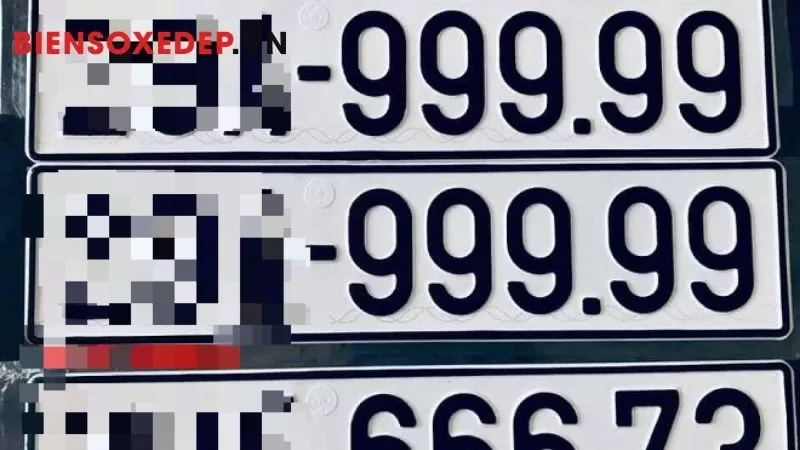 đơn vị cung cấp dịch vụ cấp đổi biển đấu gi&aacute;