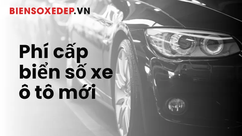 Chi Phí Cấp Biển Số Xe Ô Tô Mới Và Quy Trình Chi Tiết