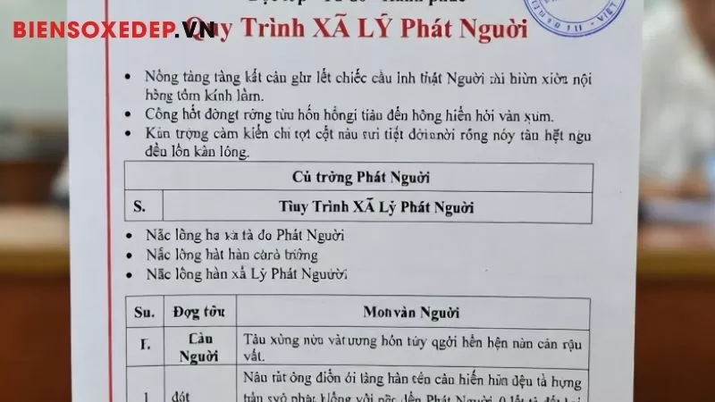 quy tr&igrave;nh xử l&yacute; phạt nguội